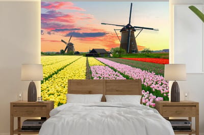 Behang - Fotobehang Tulpen - Windmolen - Natuur - Breedte 350 cm x hoogte 350 cm