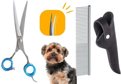 Professor Q – Professioneler Hondenschaar – Lichtblauw – 7.5 Inch (19,5 cm) – Up Gebogen Timschaar – Ideaal voor Langharige Honden met Luxe Lederen Etui – 16,5 cm – Zwart + Anti-Klit Kam – Pijnloos & Huisdiervriendelijk