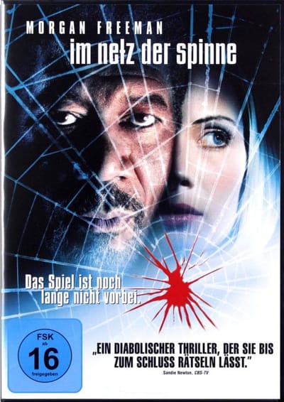 Im Netz der Spinne