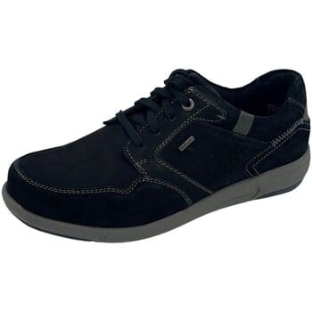 Lage Sneakers Josef Seibel -