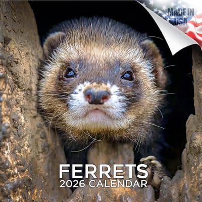 Fretten Kalender - Dieren Planner - Maandelijkse Planning - 16 Maanden Overzicht - 30 x 60 cm - Meerdere Kleuren