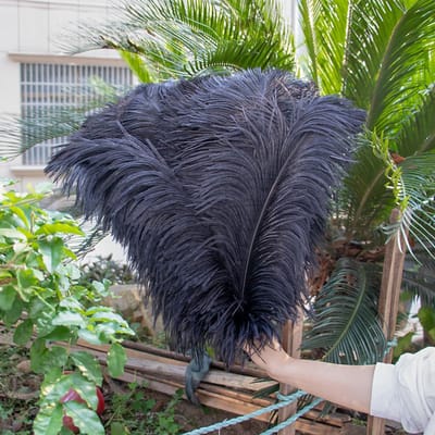 10 STUKS Rode Struisvogelveren Bulk 15-60CM Natuurlijke Veren Voor Knutselen Bruiloft Feest Tafeldecoraties Decoratie Carnaval Plumas 15-20CM 6-8INCH zwart