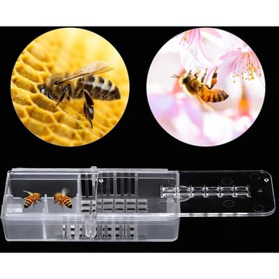 10 pcs Kit de Cupules d'Élevage en Plastique Apiculture Cages à Reine d'Abeilles Outils Équipement Apiculteur white
