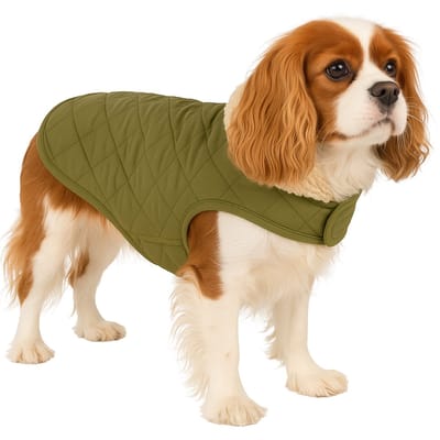 Hondenjas – Flamingo Bonnie – honden jas – hondenjasjes winter – hondenjas waterdicht – 40 cm – A:40cm B:34-40cm C:54-60cm – groen