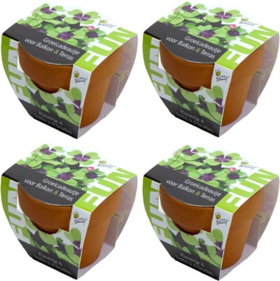 Klavertje Vier - Grow Gift - 4 Minipotjes voor kweken van Klavertje Vier