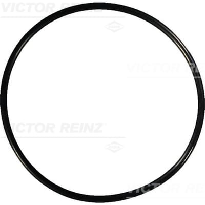 Victor Reinz Kleppendeksel pakking REINZ 40-76741-00