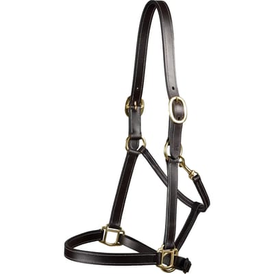 Halster voor paarden Premier Equine