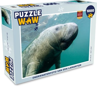 Puzzel Dieren - Water - Camera - Legpuzzel - Puzzel 1000 stukjes volwassenen