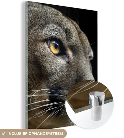 MuchoWow® Glasschilderij 120x160 cm - Schilderij acrylglas - Poema - Wilde dieren - Portret - Foto op glas - Schilderijen