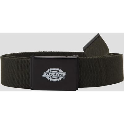 Dickies Orcutt Riem groen