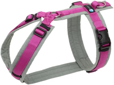 AnnyX Hondentuig - FUN - Speurtuig - Fuchsia/Grijs - maat XXS - Borstomvang 36-42cm - Gewicht hond 3 -7 kg