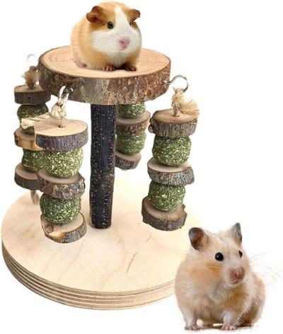 Hamsterspeelgoed Knaagsnoepjes - Knaagblokken Hamster - Tanden Onderhoud - Fruitig Geurend - 14x13cm - Natuurlijk