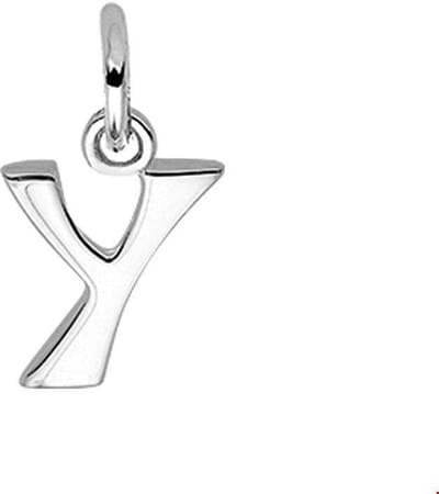 Zilveren Hanger letter Y 1002842