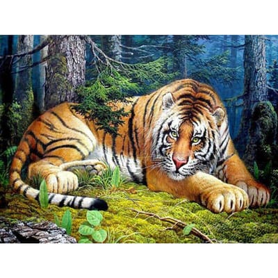 Peinture diamant tigre 5D avec strass ronds, image à faire soi-même, broderie au point de croix 20X30CM gray