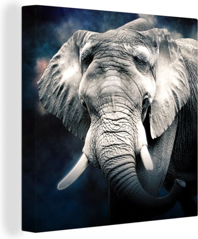 Canvas Schilderij Olifant - Rook - Tanden - 20x20 cm - Wanddecoratie