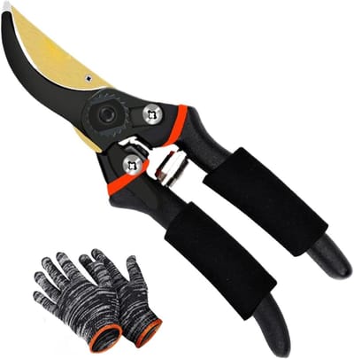 Tuinschaar Bloemenschaar - Snoeischaar Takkenknipper - Snoeien van Planten - Gehard Koolstofstaal - 21.5 cm - Zwart