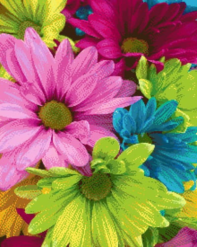 MyHobby Borduurpakket – Gekleurde Madeliefjes 40×50 cm - Aida borduurstof 5,5 kruisjes/cm (14 count) - Telpatroon - Borduurgaren - Borduurnaald - Handleiding - Voor Beginners & Gevorderden - Complete borduurset
