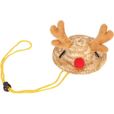 Baardagaam Hoed Eland Gewei Vorm Decor Verstelbare Gesp Riem Kleine Huisdieren Strohoed voor Hagedis Small beige
