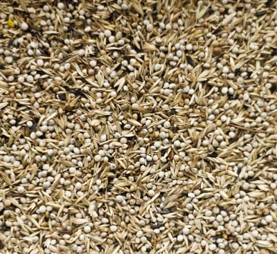 Binnenvogels- Vogelvoer- Sijzenzaad- Deli Nature- Amerikaanse sijsjes- NR98- 2 kilo
