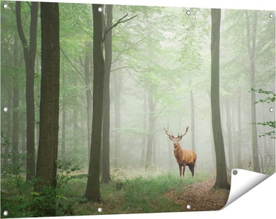 Gards Tuinposter Hert in Bos - 120x80 cm - Tuindoek - Tuindecoratie - Wanddecoratie buiten - Tuinschilderij