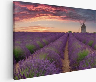 Saammp Muurcirkel Hout - Vrouw - Kleurenexplosie - Groen - abstract - Ø 80 - Wandcirkel - Wanddecoratie Cirkel - Muurdecoratie Woonkamer - Slaapkamer decoratie - Rond Schilderij