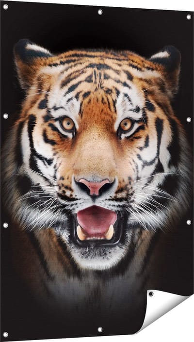 Gards Tuinposter Tijgerkop - Tijger - 80x120 cm - Tuindoek - Tuindecoratie - Wanddecoratie buiten - Tuinschilderij
