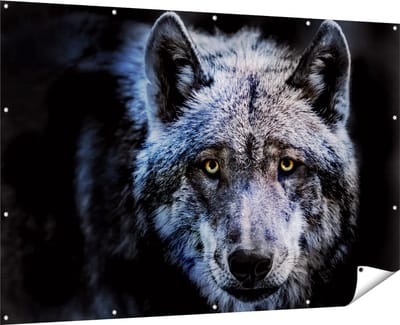 Gards Tuinposter Grijze Wolvenkop - Wolf - 180x120 cm - Tuindoek - Tuindecoratie - Wanddecoratie buiten - Tuinschilderij