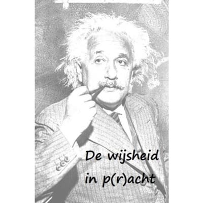 De Wijsheid In P(R)Acht - Hugo Renaerts