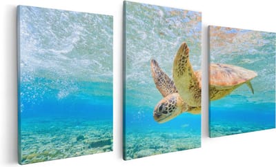 Artaza Canvas Schilderij Drieluik Schildpad Zwemt in de Zee bij het Rif - 120x60 - Foto Op Canvas - Canvas Print