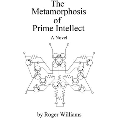 De Metamorfose van Prime Intellect door Williams & Roger Paperback Boek 9781411602199