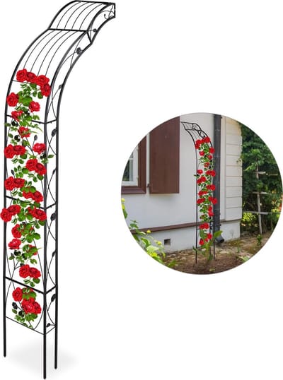 Rozenboog muur - 256 cm - metaal - zwart