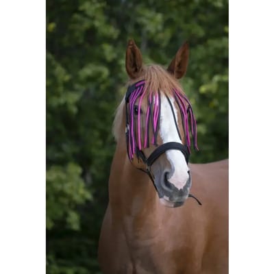 Frontaal voor paard Norton Chasse-mouches