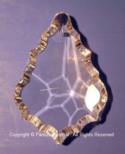 Schelp 5cm