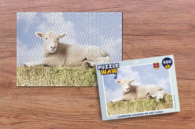 Puzzel Lammetje liggend op het stro - Legpuzzel - Puzzel 500 stukjes