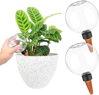Thijox - 2-pack Zelfbewaterende Plantenbewateringsbollen - 500ml Waterdispenser - Ideaal voor Potplanten en Vakantie - Kunststof en Keramiek - Transpa