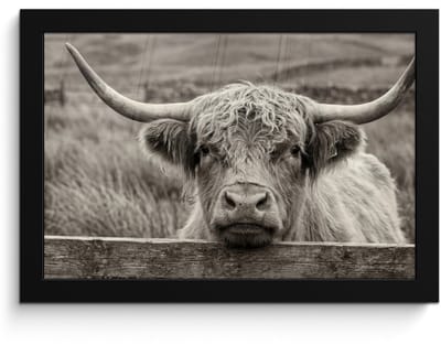 Poster in lijst - Fotolijst 30x20 cm - Posters - Schotse hooglander - Zwart - Wit - Hout - Posterlijst zwart - Decoratie - Wanddecoratie woonkamer - Muurdecoratie slaapkamer