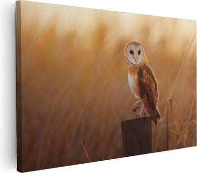Artaza Canvas Schilderij Kerkuil - 30x20 cm - Klein - Wanddecoratie Vogel - Muurdecoratie Dieren - Kamer Accessoires