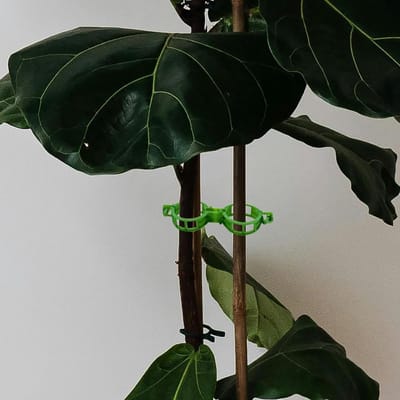 Famanu – Tuinplantclips - plantensteunclips - wijnstokclips - bloemstengelclips voor het vasthouden van tomaten - groenten - komkommers - tomatenclips (groen)