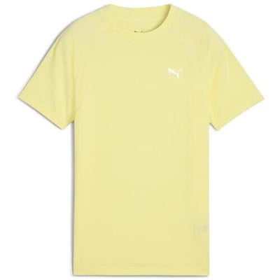 T-shirt Puma Evostripe