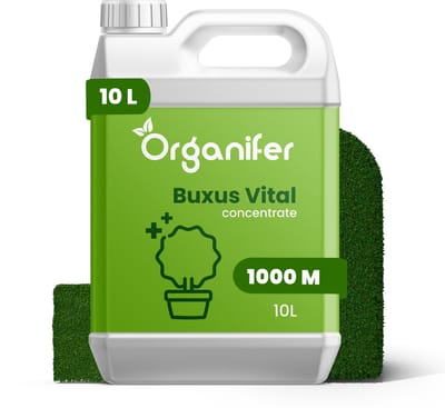 Buxus Vital 10L - Concentraat voor 1000 meter haag - Buxusmot Bestrijden - Buxusrups Bestrijdingmiddel - Buxusmot Bestrijdingmiddel - Buxus Schimmel - Natuurlijk weerbaar - Organifer