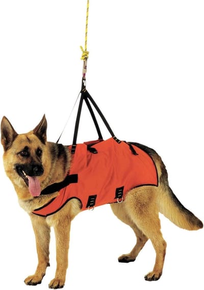Honden Draagzak - Reisdrager Hond - Ondersteuning Hond - Voor- en Achtersteun - 43 cm - Rood