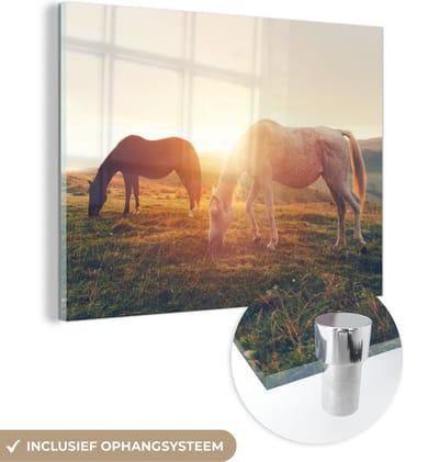 MuchoWow® Glasschilderij 40x30 cm - Schilderij acrylglas - Paarden - Zon - Dieren - Foto op glas - Schilderijen