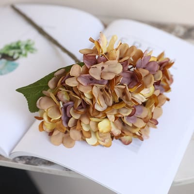 Hortensia (Hydrangea) klein - bruin/geel - zijden bloemen - 3 stelen - onderhoudsvrij - 33 cm - kunstbloemen