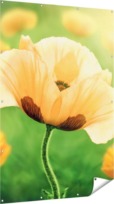 Gards Tuinposter Oranje Klaproos Bloemen - 120x180 cm - Tuindoek - Tuindecoratie - Wanddecoratie buiten - Tuinschilderij