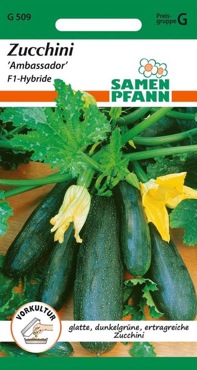 Courgette, Ambassador - Groentezaden Courgettezaden Zaden