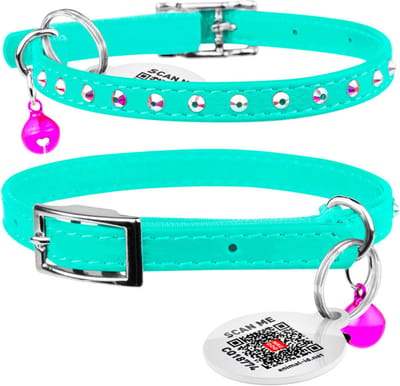 WAUDOG Glamour Star Kattenhalsband - Echt Leder - Mint - Gratis QR-tag - XXS - Breedte: 9 mm - Nekomtrek: 22 - 30 cm (GELIEVE ALVORENS BESTELLEN OPMETEN)