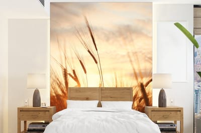Behang - Fotobehang Riet - Gras - Zonsondergang - Natuur - Horizon - Breedte 165 cm x hoogte 220 cm