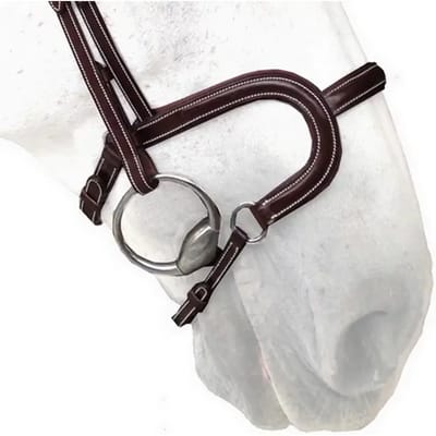 Platte lederen paardenneusriem Silver Crown H Classique
