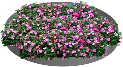 Bloembed [2 stuks: 120 x 13,5cm] | Bloembakken | Plantenbak buiten | Planten bakken