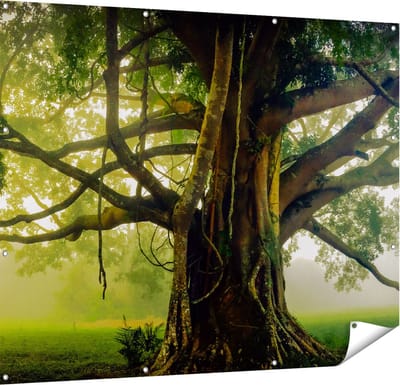 Gards Tuinposter Grote Levensboom met Veel Takken - 150x120 cm - Tuindoek - Tuindecoratie - Wanddecoratie buiten - Tuinschilderij
